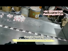 100KN เครื่องล้างจาน 3 ชั้น ยาสัตว์ ยาสัตวแพทย์ ยาเม็ด Tablet Press