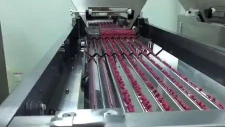 สายการผลิตกระป๋องยาความเร็วสูง 380V พร้อมรับประกัน 1 ปีสําหรับกระป๋อง 60 มิลลิล 80 มิลลิล 100 มิลลิล